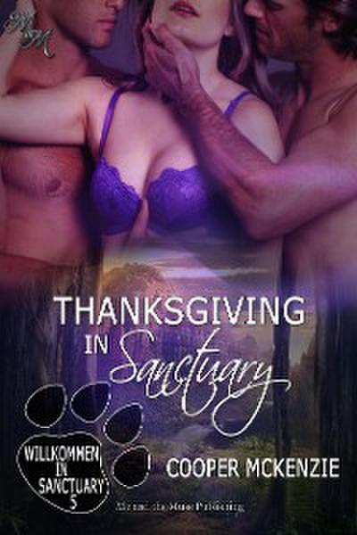 Thanksgiving in Sanctuary