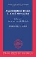 Mathematical Topics in Fluid Mechanics