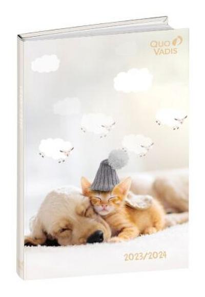 FORUM DE Tiere Katze/Hund 2023/2024