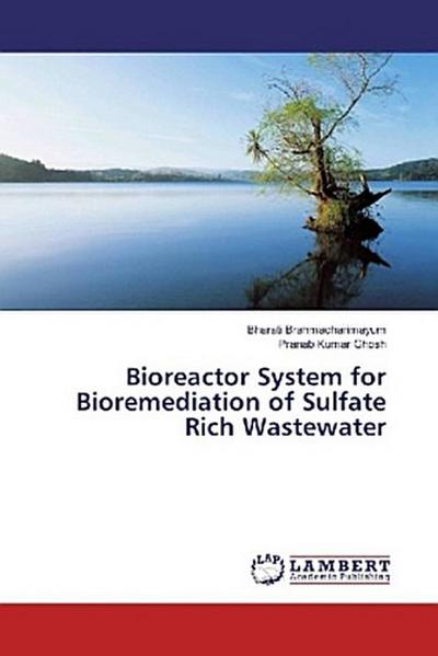 Bioreactor System for Bioremediation of Sulfate Rich Wastewater
