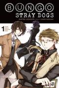 Bungo Stray Dogs 1 (light novel)