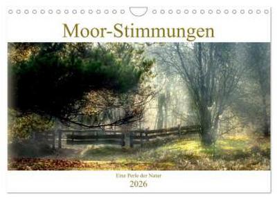 Moor-Stimmungen (Wandkalender 2026 DIN A4 quer), CALVENDO Monatskalender