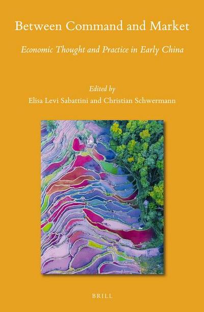 Between Command and Market