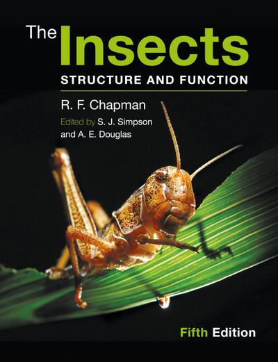 The Insects