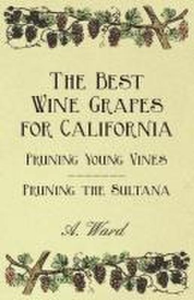 The Best Wine Grapes for California - Pruning Young Vines - Pruning the Sultana