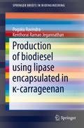 Production of biodiesel using lipase encapsulated in ¿-carrageenan