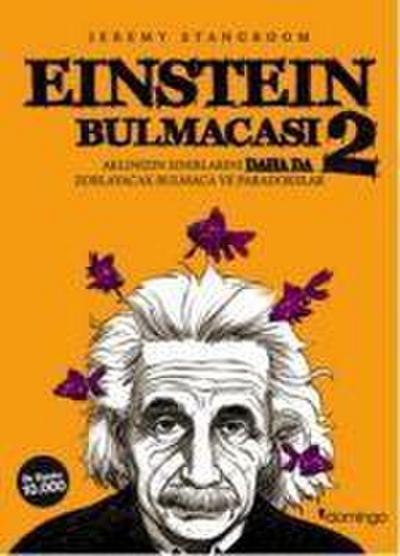 Einstein Bulmacasi 2