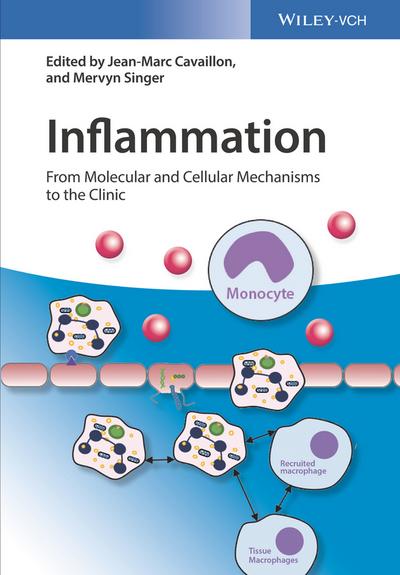 Inflammation, 4 Teile