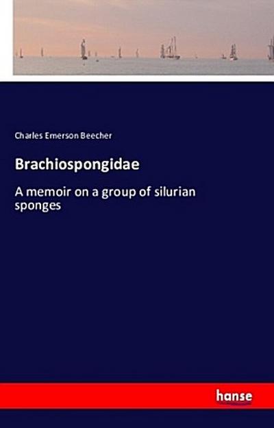 Brachiospongidae