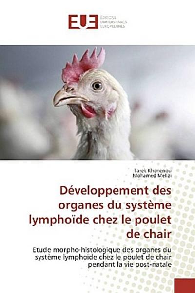 Développement des organes du système lymphoïde chez le poulet de chair
