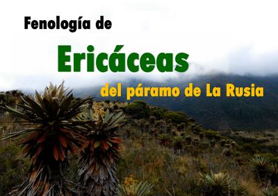 Fenología de ericáceas del páramo de La Rusia