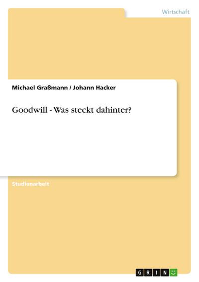 Goodwill - Was steckt dahinter?