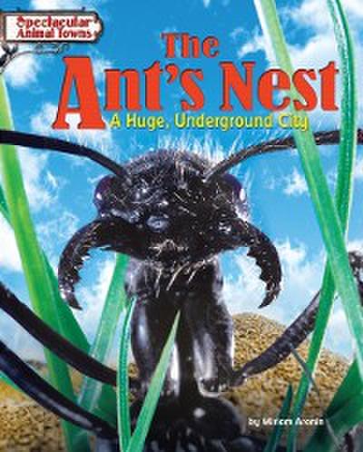 Ant’s Nest