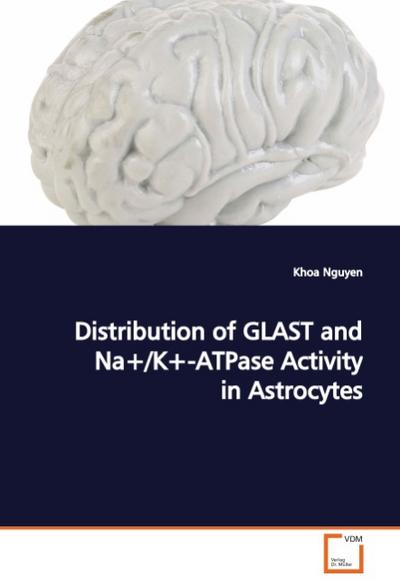 Distribution of GLAST and Na+/K+-ATPase Activity inAstrocytes