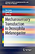 Mechanosensory Transduction in Drosophila Melanogaster