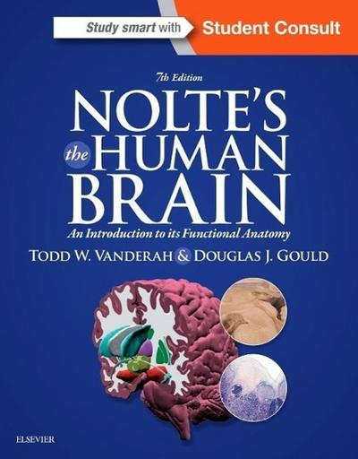 Nolte, J: Nolte’s The Human Brain