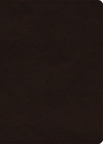 ESV Large Print Value Personal Size Bible (Trutone, Deep Brown)