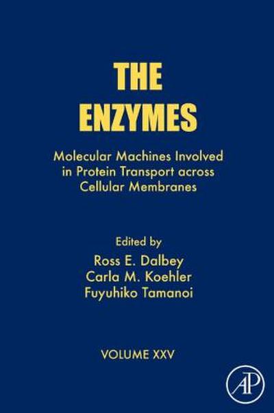 The Enzymes