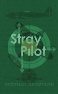 Stray Pilot