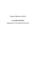 Cinema et litterature au bresil