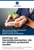 Sämlinge von Sonnenblumensorten, die mit Abfällen 