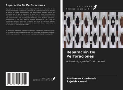 Reparación De Perforaciones