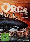 Orca der Killerwal