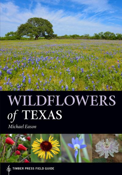 Wildflowers of Texas