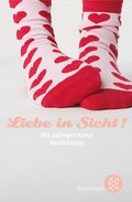 Liebe in Sicht!: Die aufregendsten Geschichten