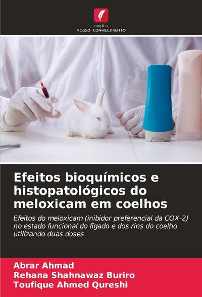 Efeitos bioquímicos e histopatológicos do meloxicam em coelhos