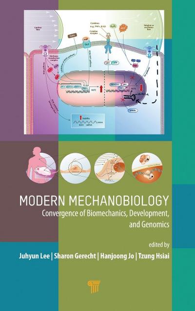 Modern Mechanobiology