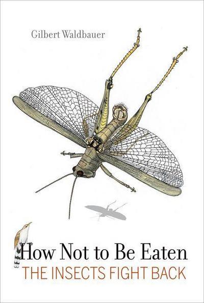 How Not to Be Eaten