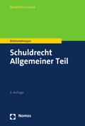 Schuldrecht Allgemeiner Teil