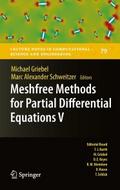 Meshfree Methods for Partial Differential Equation