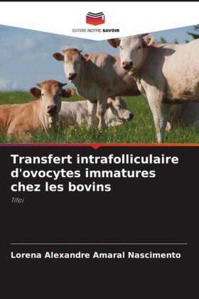 Transfert intrafolliculaire d’ovocytes immatures chez les bovins