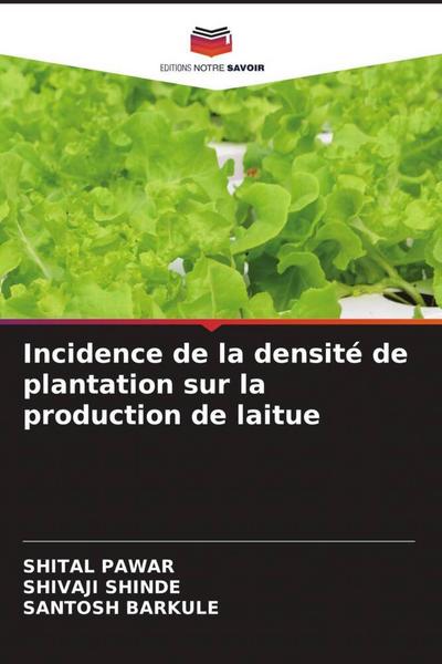 Incidence de la densité de plantation sur la production de laitue