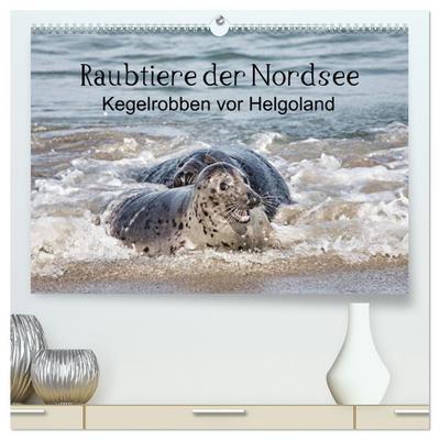 Raubtier der Nordsee - Kegelrobben vor Helgoland (hochwertiger Premium Wandkalender 2025 DIN A2 quer), Kunstdruck in Hochglanz