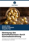 Hemmung des Kartoffelkeimens durch Gammabestrahlun
