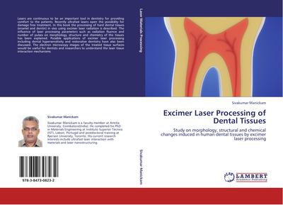 Excimer Laser Processing of Dental Tissues