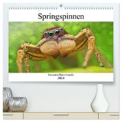 Faszination Makrofotografie: Springspinnen (hochwertiger Premium Wandkalender 2024 DIN A2 quer), Kunstdruck in Hochglanz