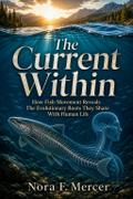 The Current Within