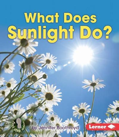 What Does Sunlight Do?
