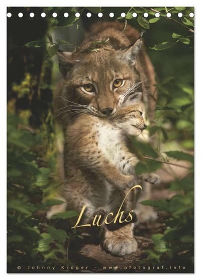 Luchs (Tischkalender 2024 DIN A5 hoch), CALVENDO Monatskalender