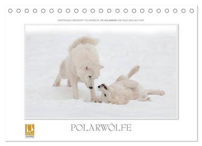 Emotionale Momente: Polarwölfe. (Tischkalender 2024 DIN A5 quer), CALVENDO Monatskalender