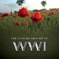 The Consise History of WWI