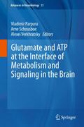 Glutamate and ATP at the Interface of Metabolism a