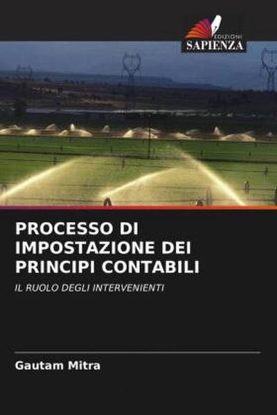 PROCESSO DI IMPOSTAZIONE DEI PRINCIPI CONTABILI