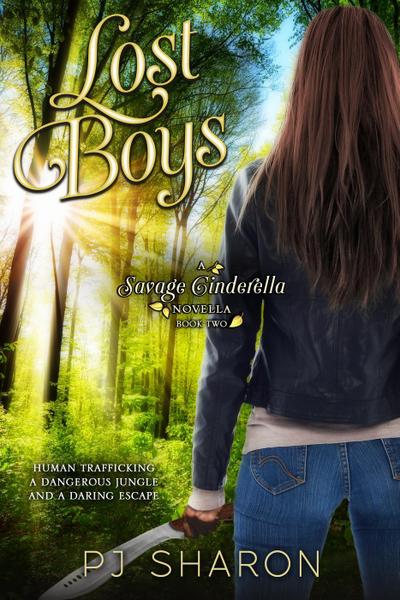Lost Boys (Savage Cinderella Novella Series, #2)