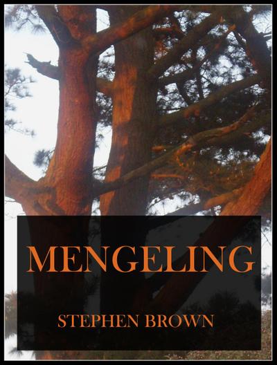 Mengeling (Moments in Rhyme, #2)