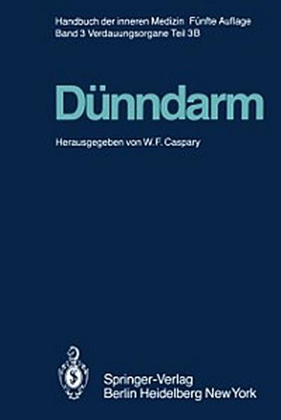 Dünndarm B